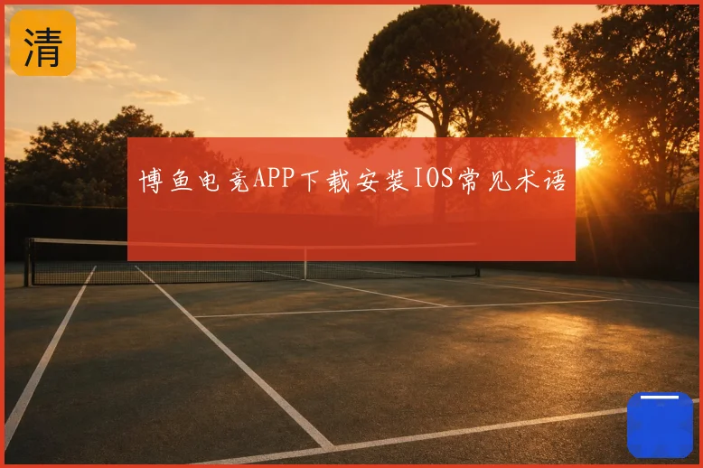 博鱼电竞APP下载安装IOS常见术语